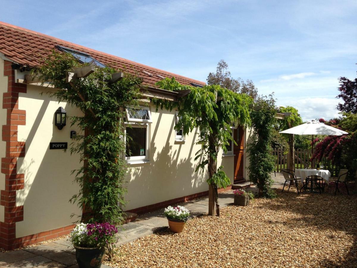 Ashford House B&B Wells Exteriér fotografie